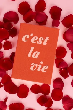 Strapped|Book Clutch<Olympia Le-Tan C'est la Vie (Strapped)