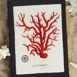 Non-Strapped|Book Clutch<Olympia Le-Tan Le Corail Rouge