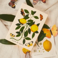 Non-Strapped|Book Clutch<Olympia Le-Tan Lemons and Butterflies