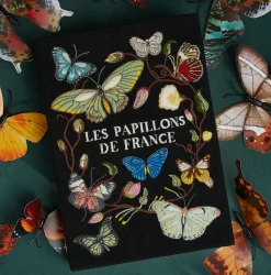 Non-Strapped|Book Clutch<Olympia Le-Tan Les Papillons de France