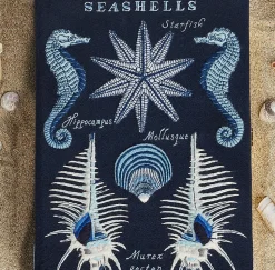 Non-Strapped|Book Clutch<Olympia Le-Tan Seashells