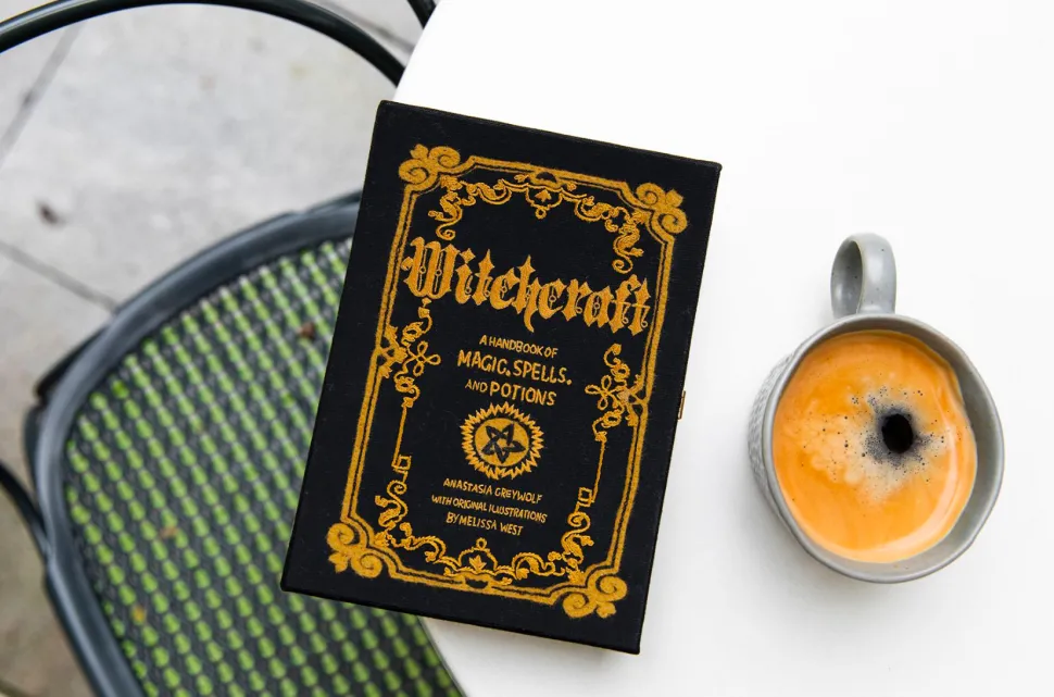 Non-Strapped|Book Clutch<Olympia Le-Tan Witchcraft